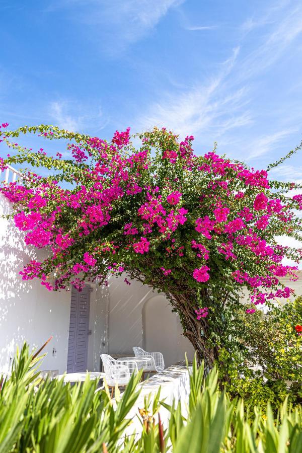 Akrotiri Hotel Páros Dış mekan fotoğraf