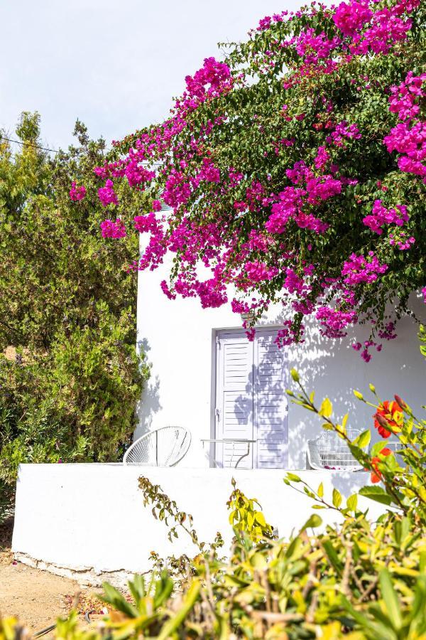 Akrotiri Hotel Páros Dış mekan fotoğraf